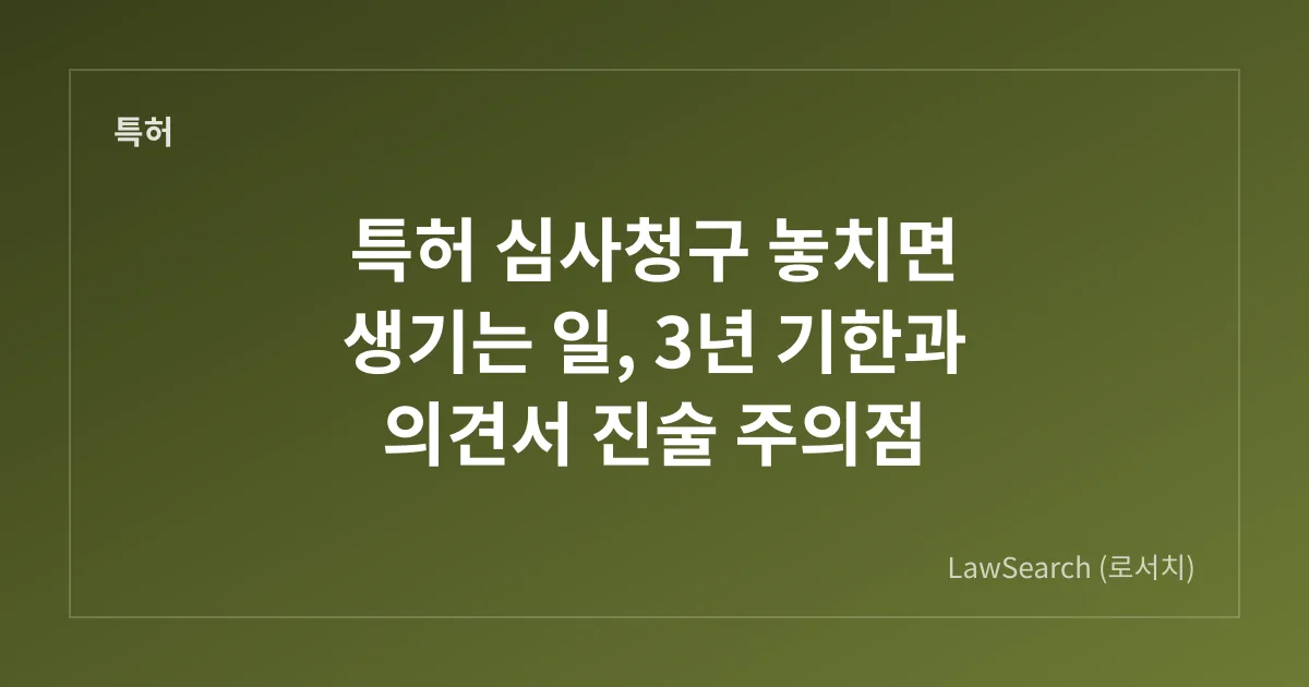 특허 심사청구 놓치면 생기는 일, 3년 기한과 의견서 진술 주의점